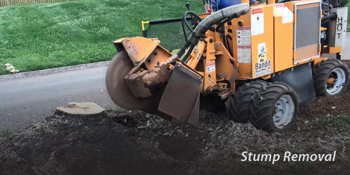 Stump removal with equipment from Anthony Hughes Tree Service