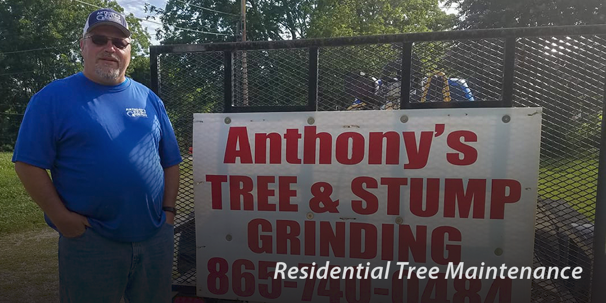 Anthony's Tree & Stump Grinding trailer